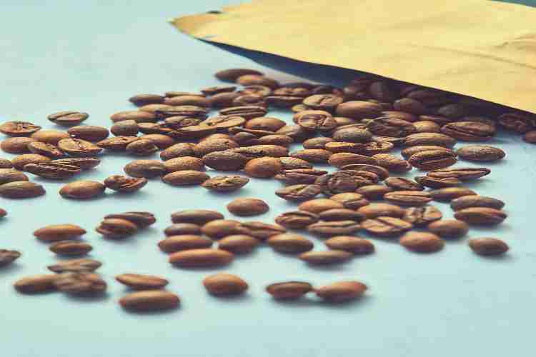 which is best for weight loss Arabica or Robusta coffee?